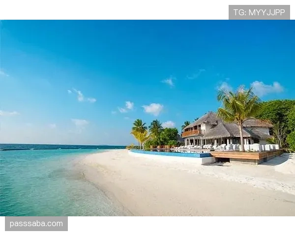 大阪刚在马尔代夫买岛，说是为了“安静训练”